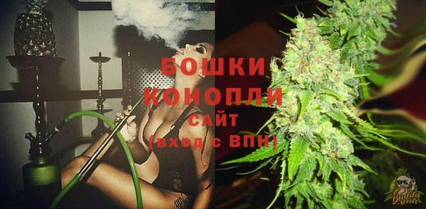 крисы Тавда