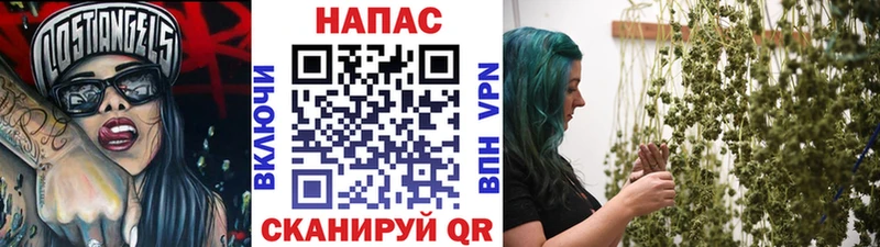 Конопля семена  Купить где  Петров Вал 